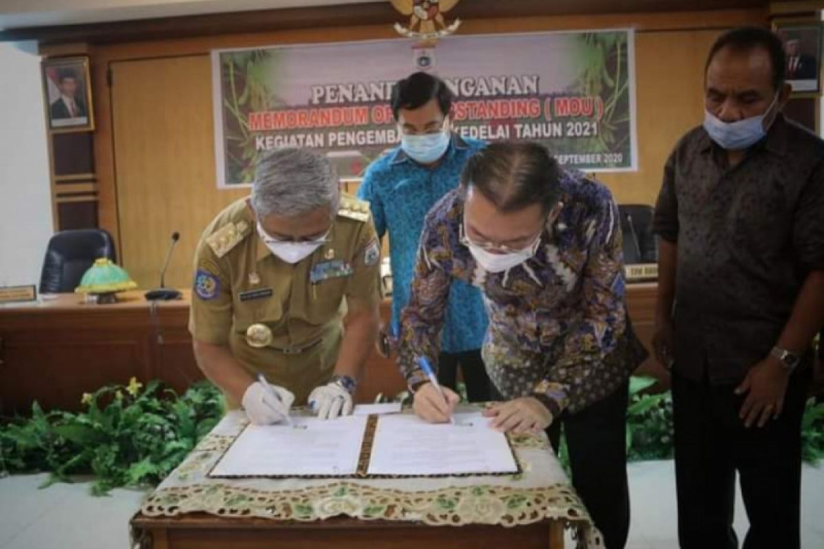 Pemprov Sulbar kembangkan tanaman kedelai 50.000 ha mulai  2021