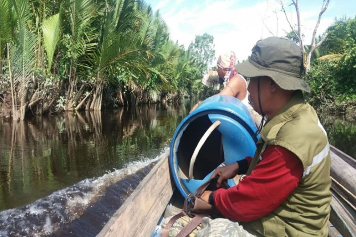 Buaya bermunculan saat BKSDA  periksa lokasi serangan warga