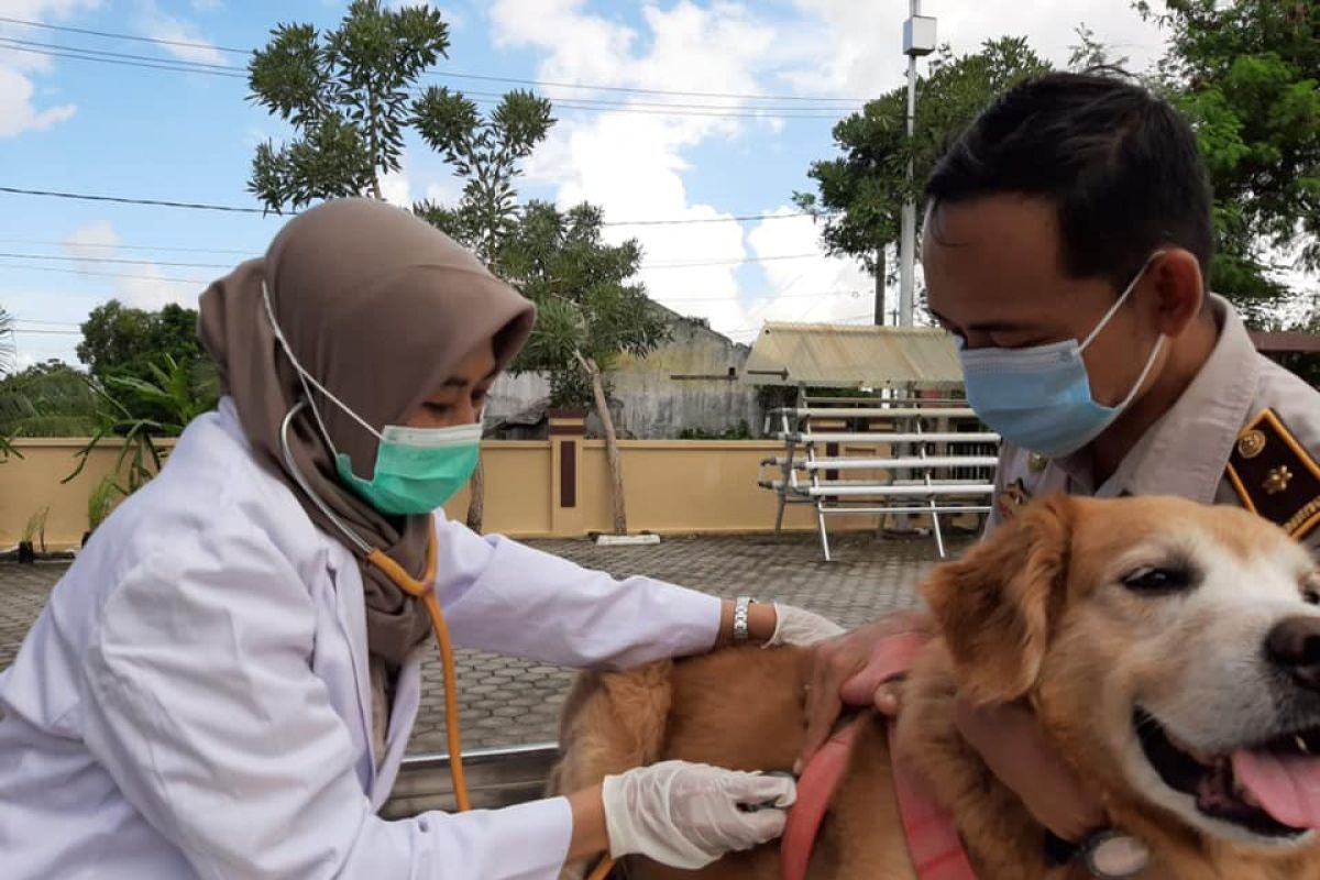 Provinsi Kepulauan Riau bebas rabies