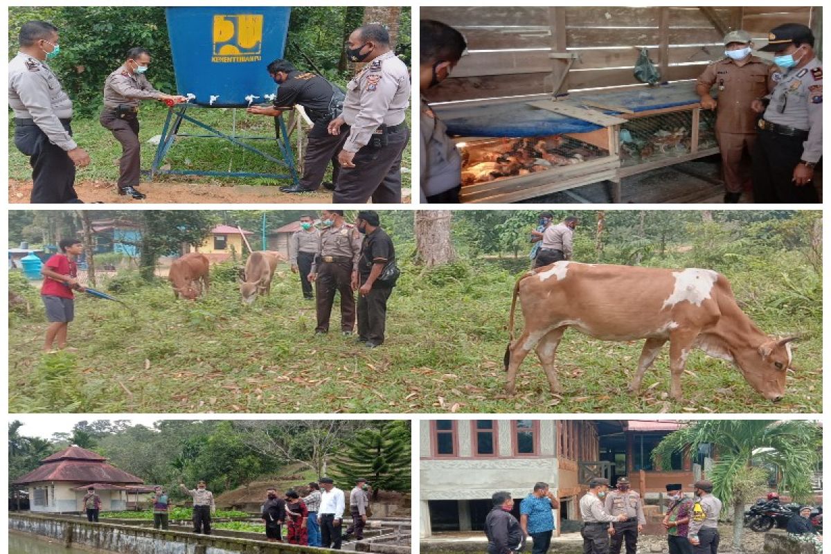 Ini dia kampung tangguh inspirasi yang didirikan Polres Tapteng hadapi pandemi COVID-19