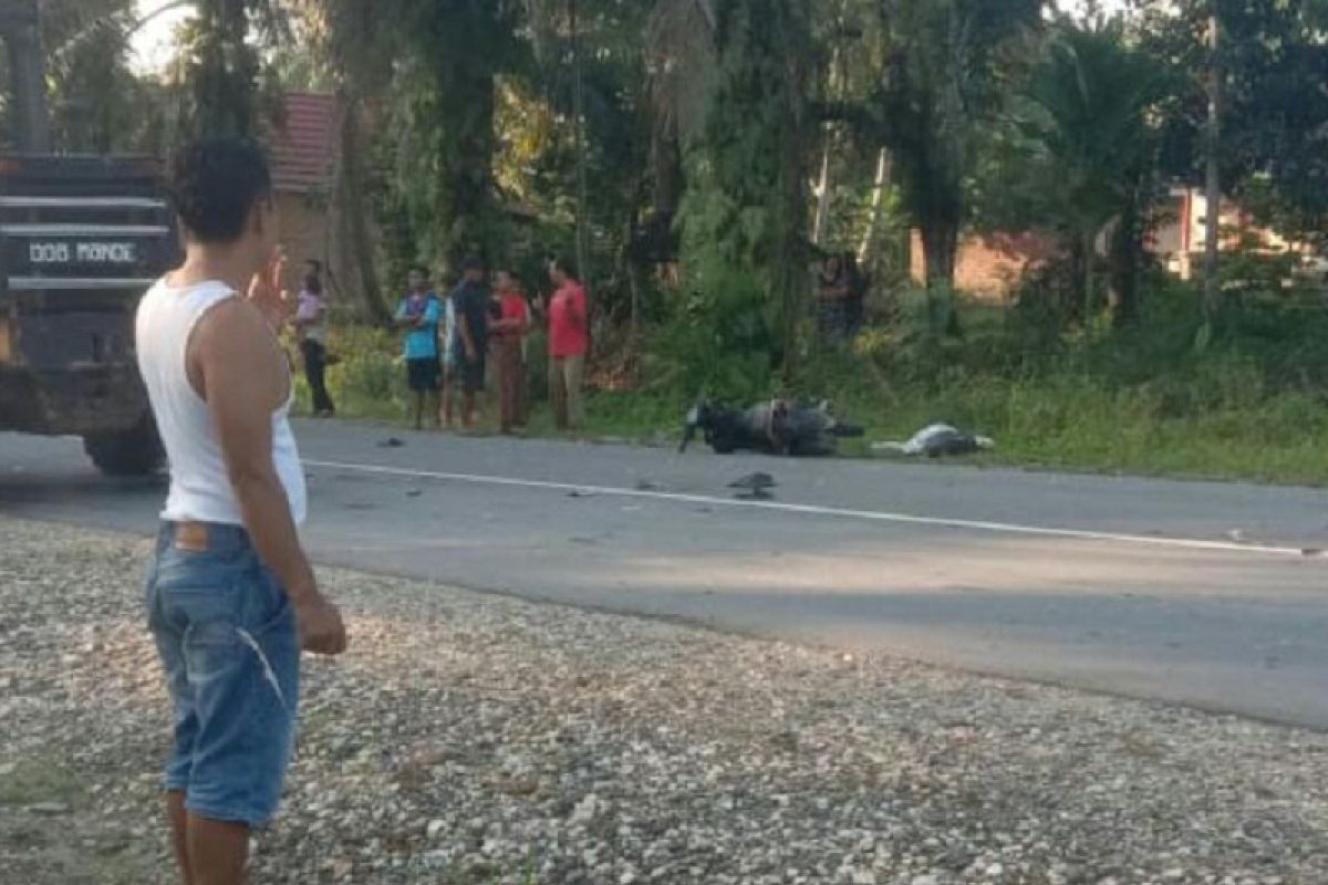 Pemotor meninggal akibat tabrakan di Jalan Lintas Sumatera