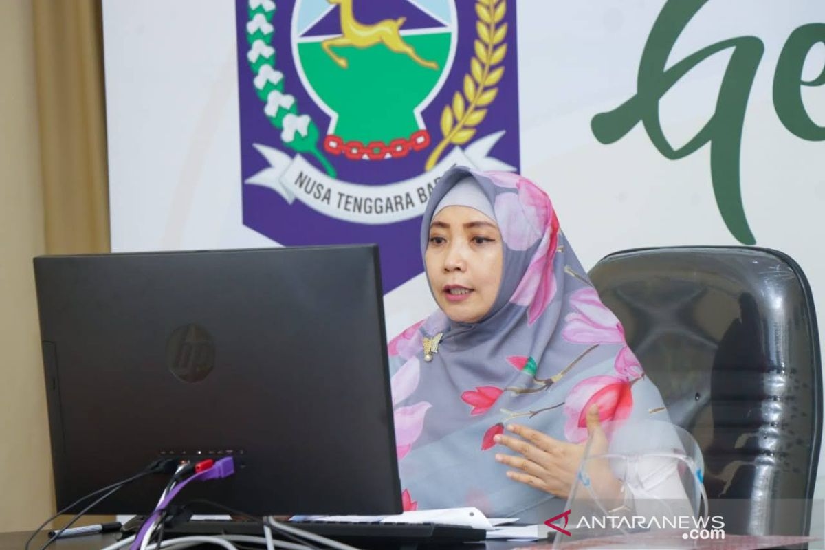 Wagub NTB mengajak warga lawan penyebaran berita hoaks tentang COVID-19