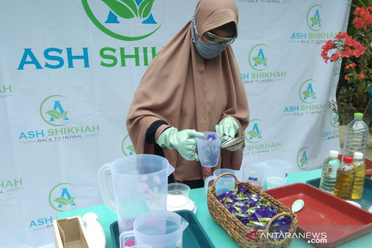 Pelaku UKM Bantul mengolah bunga telang menjadi aneka minuman