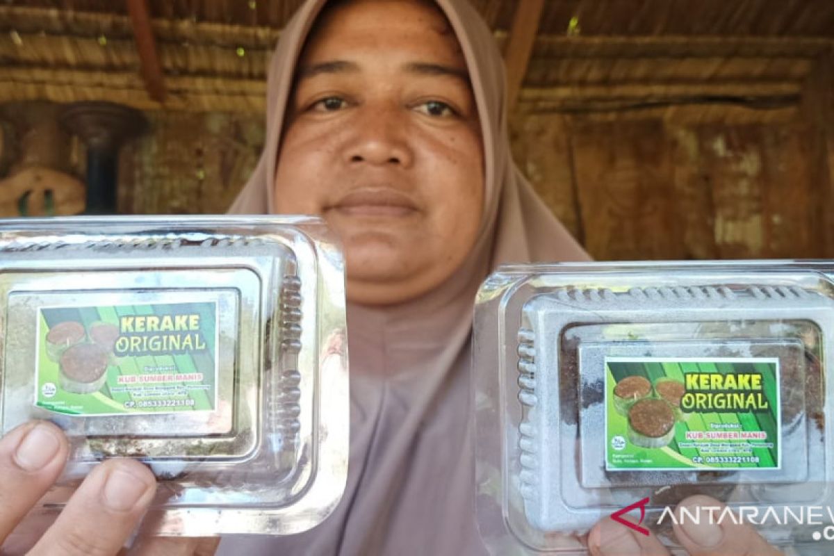 Pemkab Lombok Utara salurkan bantuan untuk bangkitkan UMKM