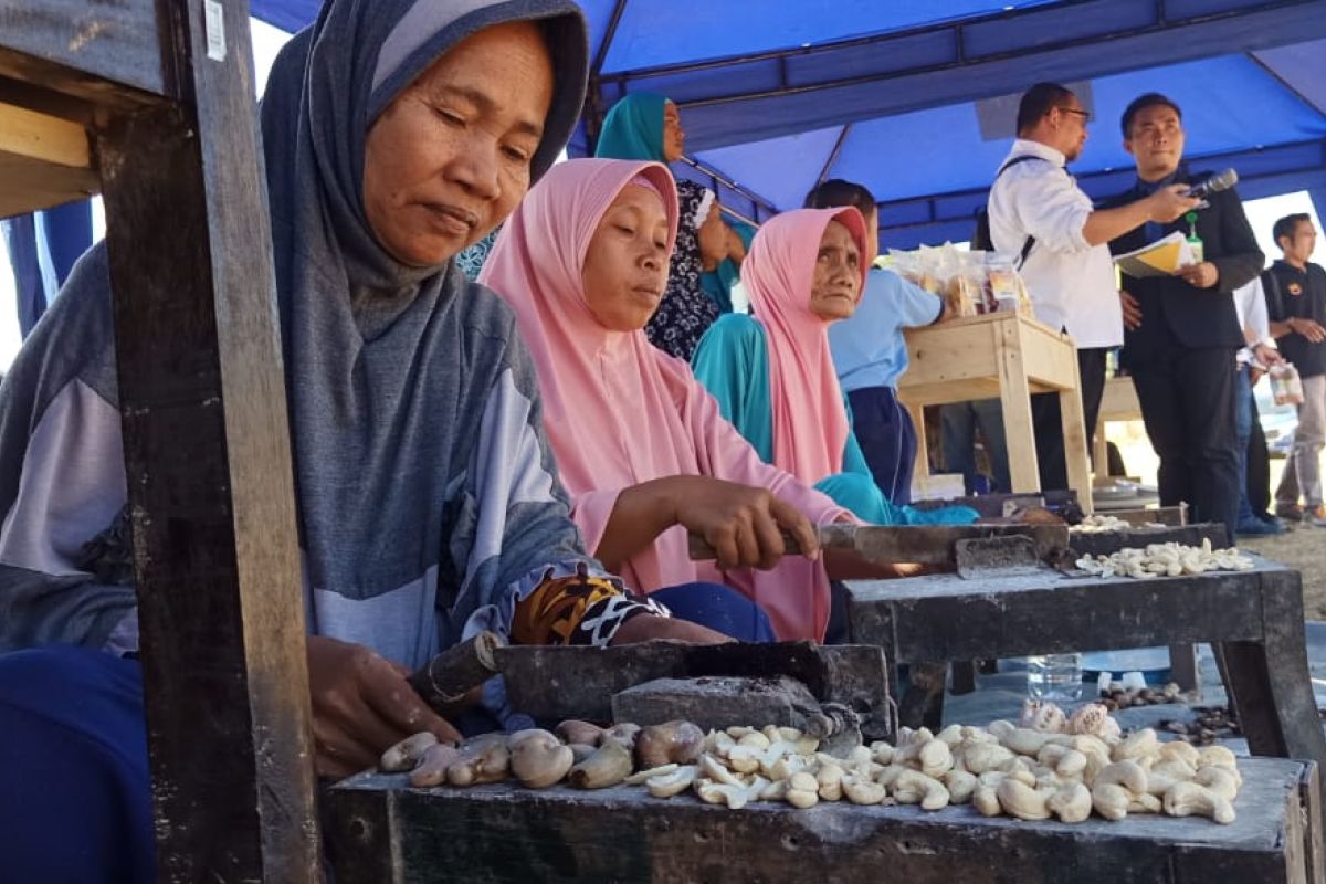 Bappeda Lombok Utara respon keinginan petani jambu mete