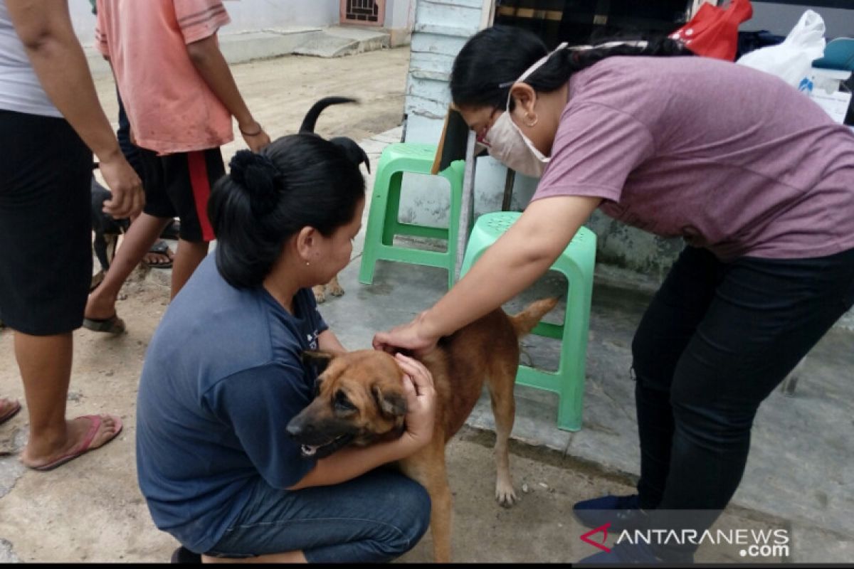 Distan Pekanbaru suntik 2.478 hewan penular rabies hingga September 2020