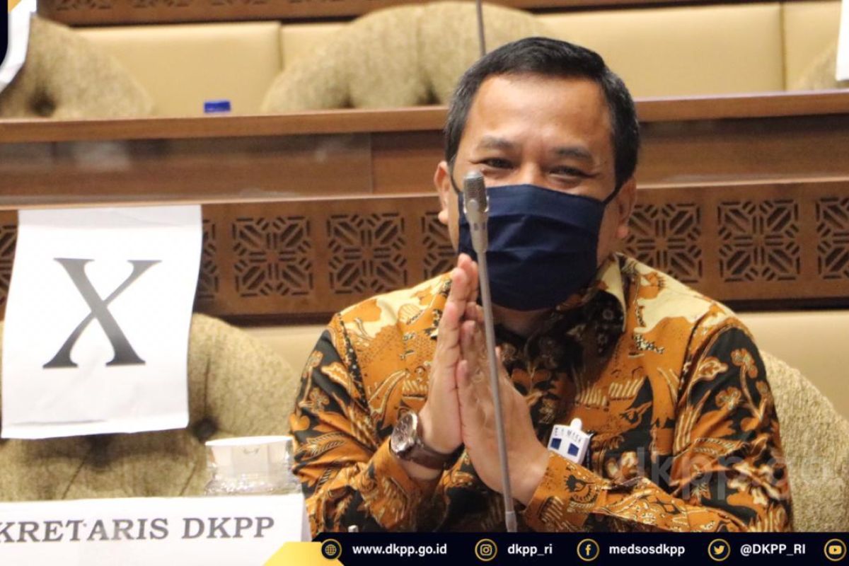 DKPP periksa delapan penyelenggara pemilu di Kabupaten Halsel