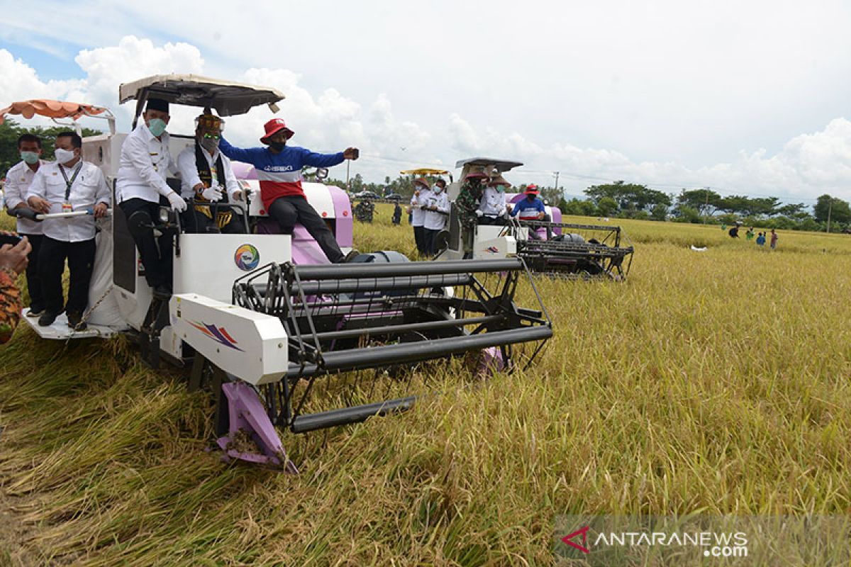 Kejar produksi musim II, Mentan sebut lahan tertanam capai 87 persen