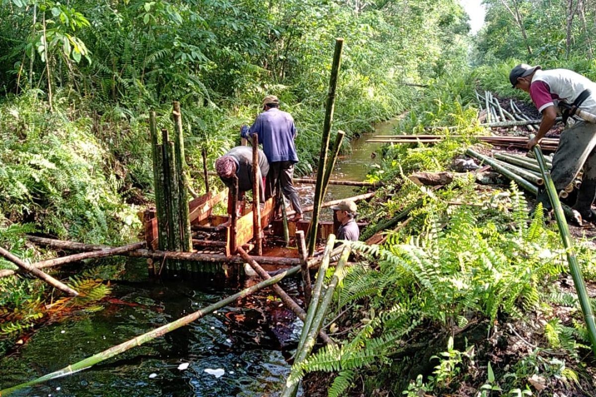 BRG ajak desa jaga infrastruktur pembasahan gambut