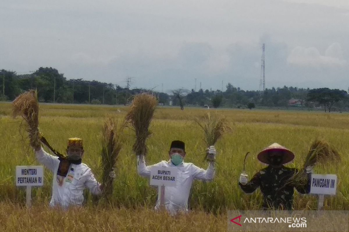 Petani Aceh Besar kesulitan pupuk, begini penjelasan bupati