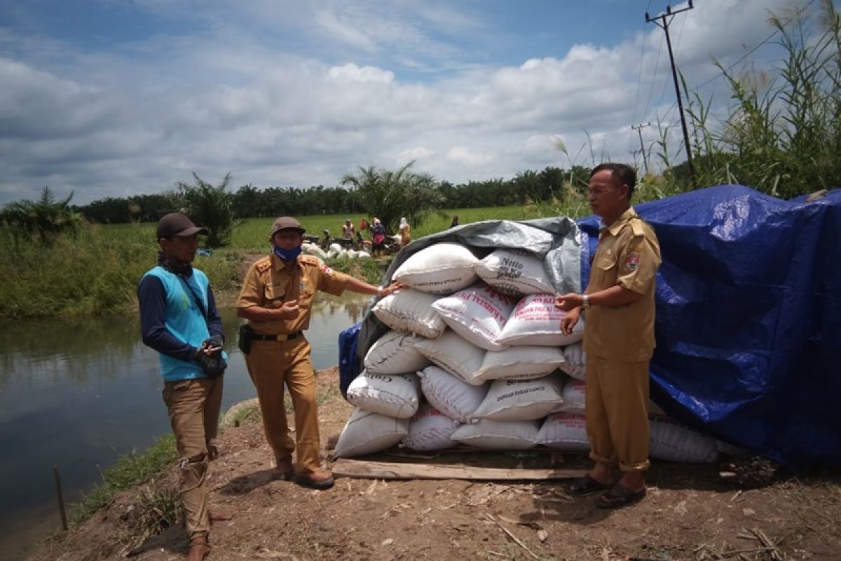 Mesuji usul pembangunan irigasi untuk lahan seluas 25 ribu hektare