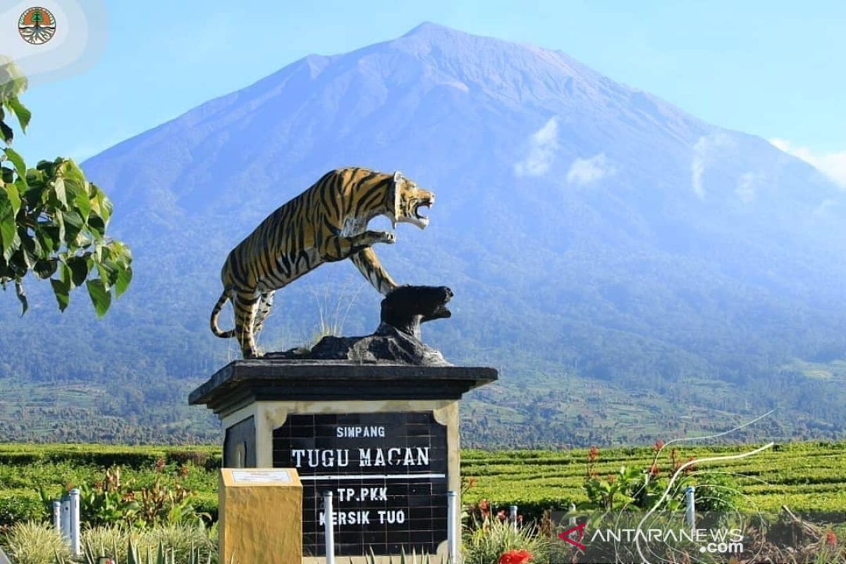 Taman Nasional Kerinci Seblat kembali dibuka untuk pengunjung