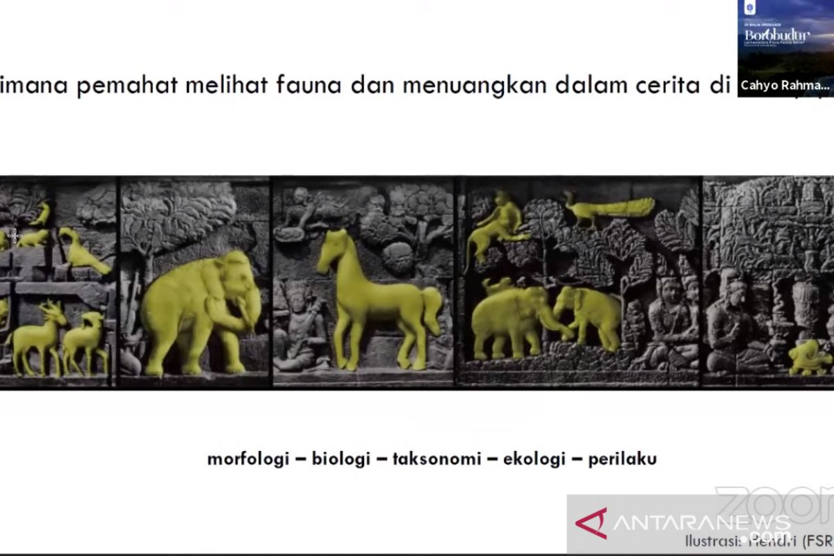 Peneliti: Relief Borobudur bisa jadi katalog spesies Jawa kuno
