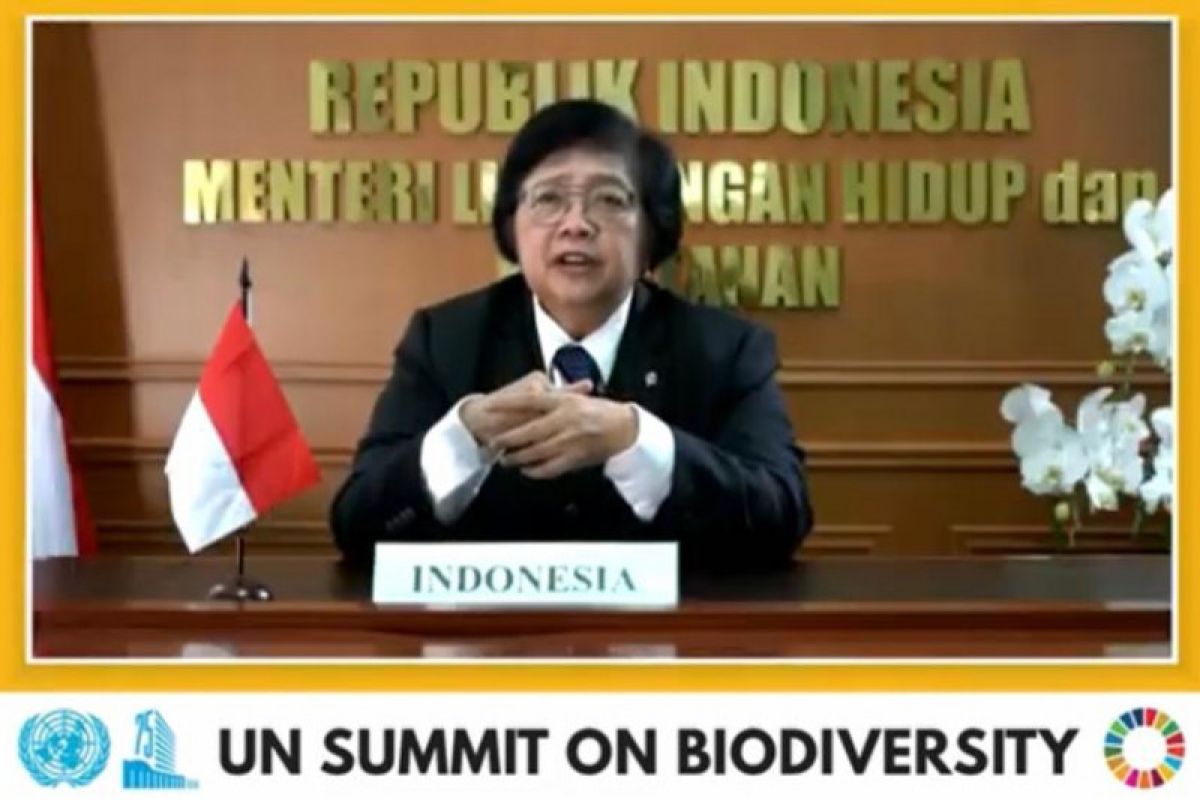 Menteri LHK sebut UU Cipta Kerja alihkan beban Komisi Penilai Amdal