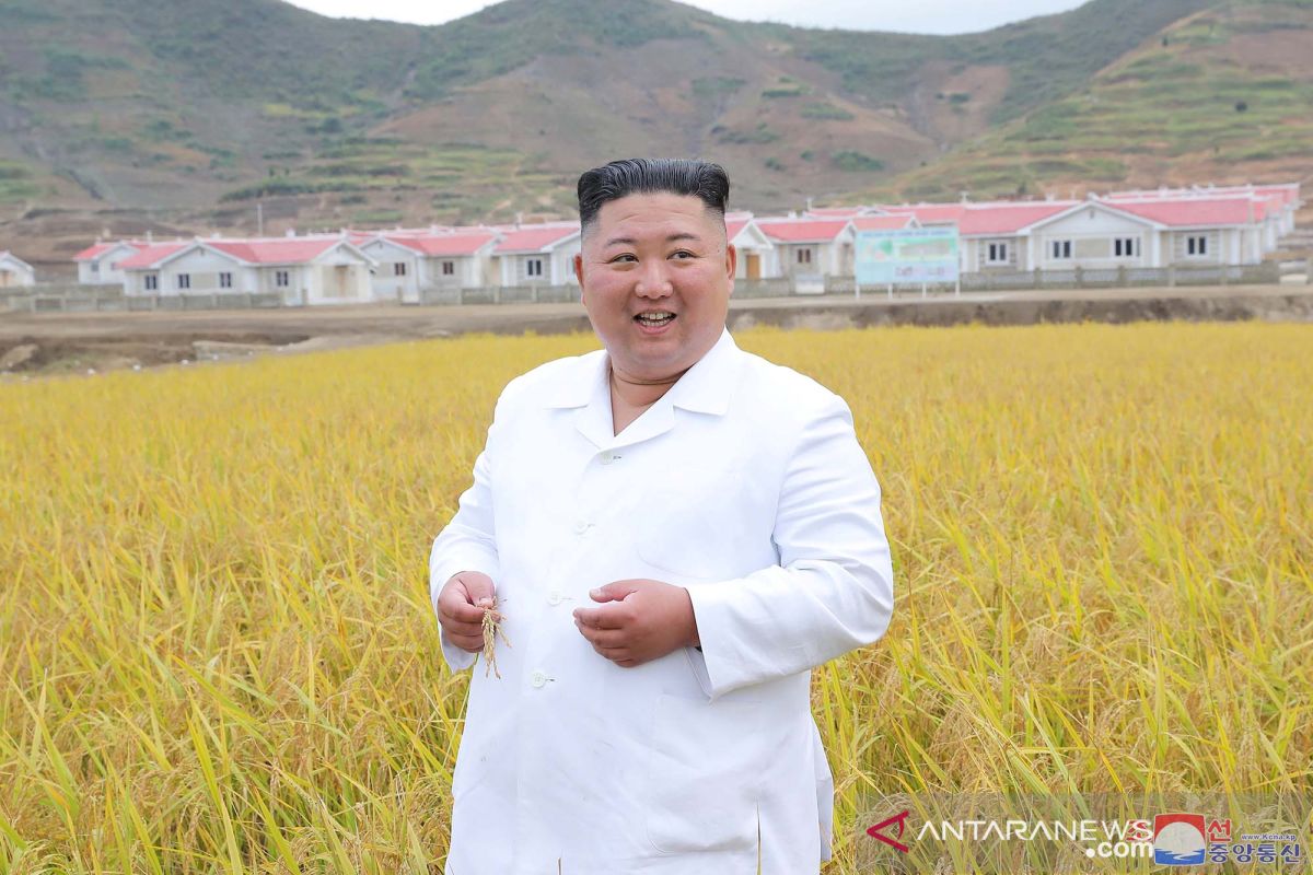 Korea Utara perketat sistem darurat anti COVID-19