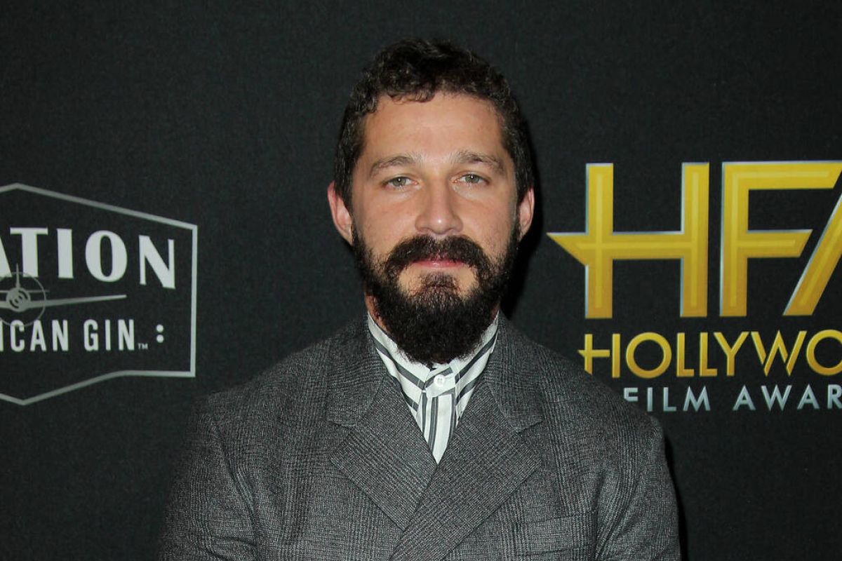 Shia LaBeouf didakwa atas pemukulan dan pencurian