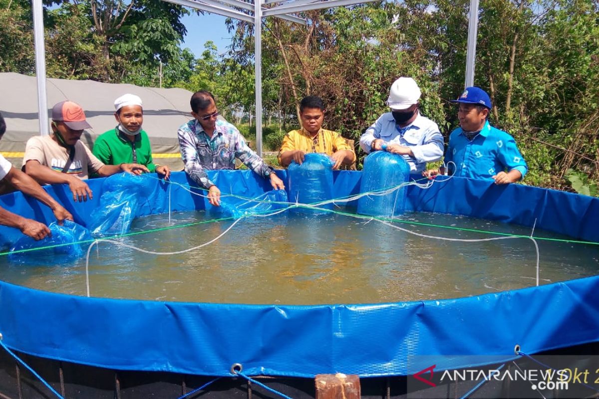 Tapin govt hands over 6,000 papuyu fish seeds to BUMDes