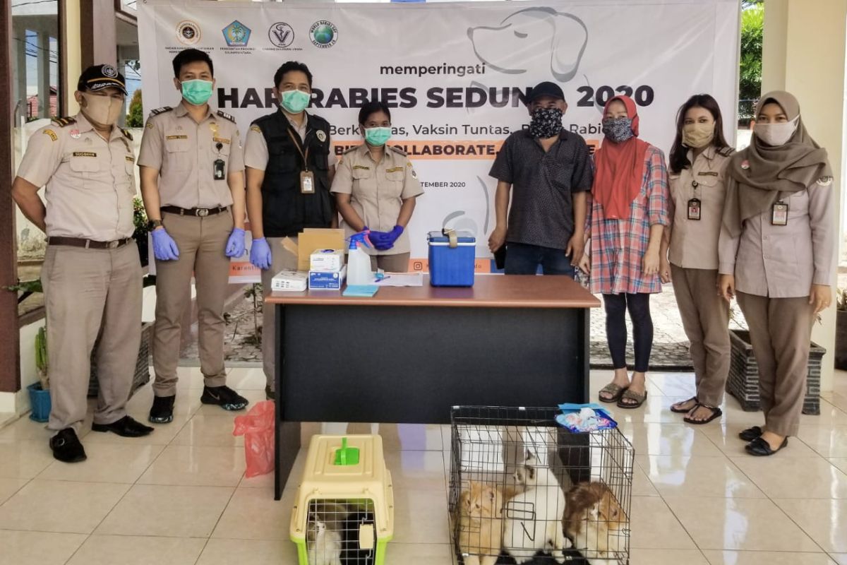 Para pihak bersinergi wujudkan Sulawesi Utara bebas rabies
