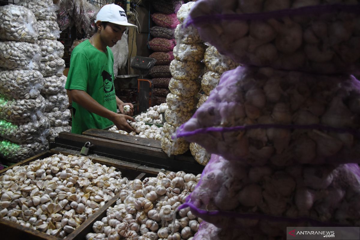 Peneliti ingatkan perlu pengusutan soal lamanya izin impor bawang putih