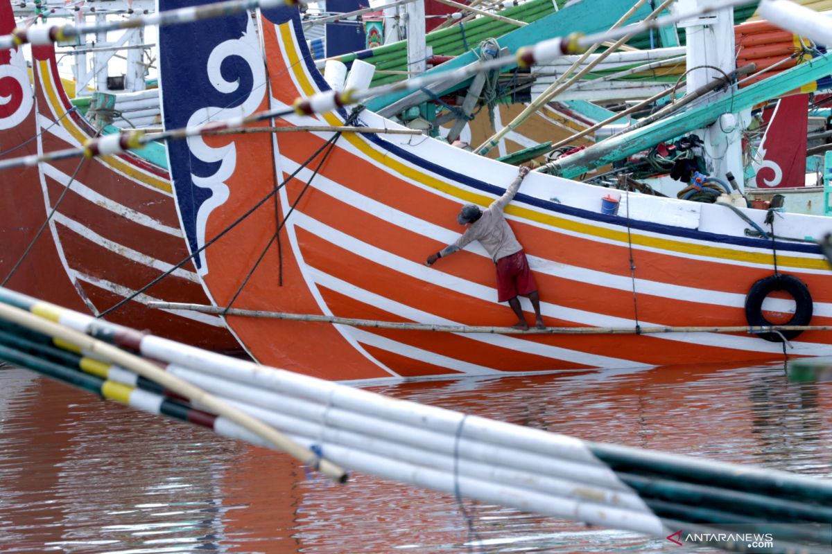 Farmers, fishermen should strive for greater economic scale: Jokowi