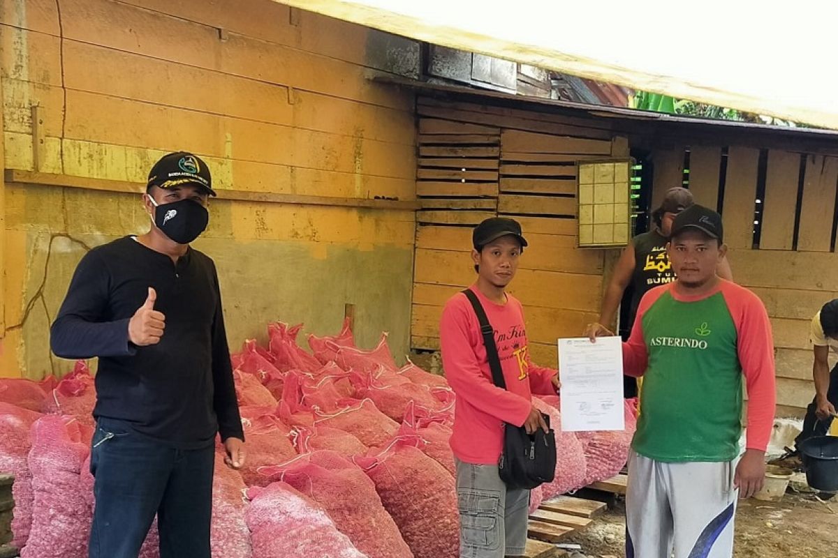 Petani Mukomuko terima bantuan benih bawang merah