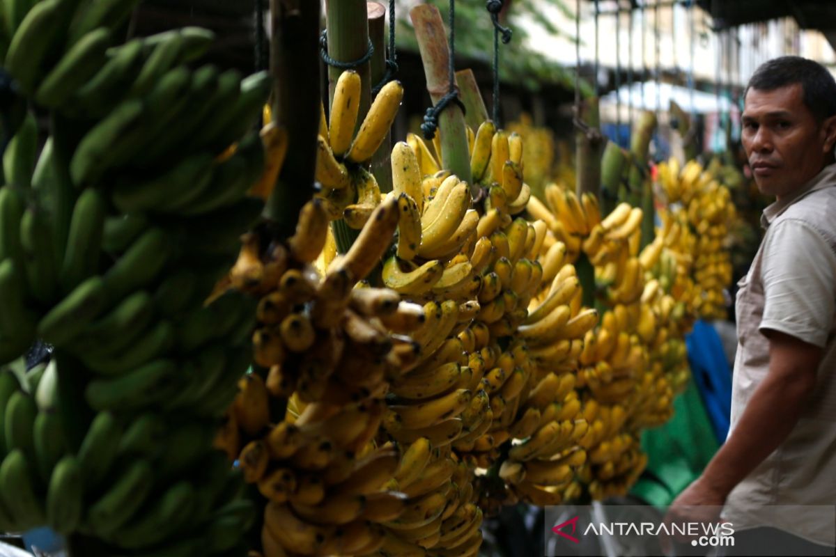 Pedagang pisang pasar tradisional