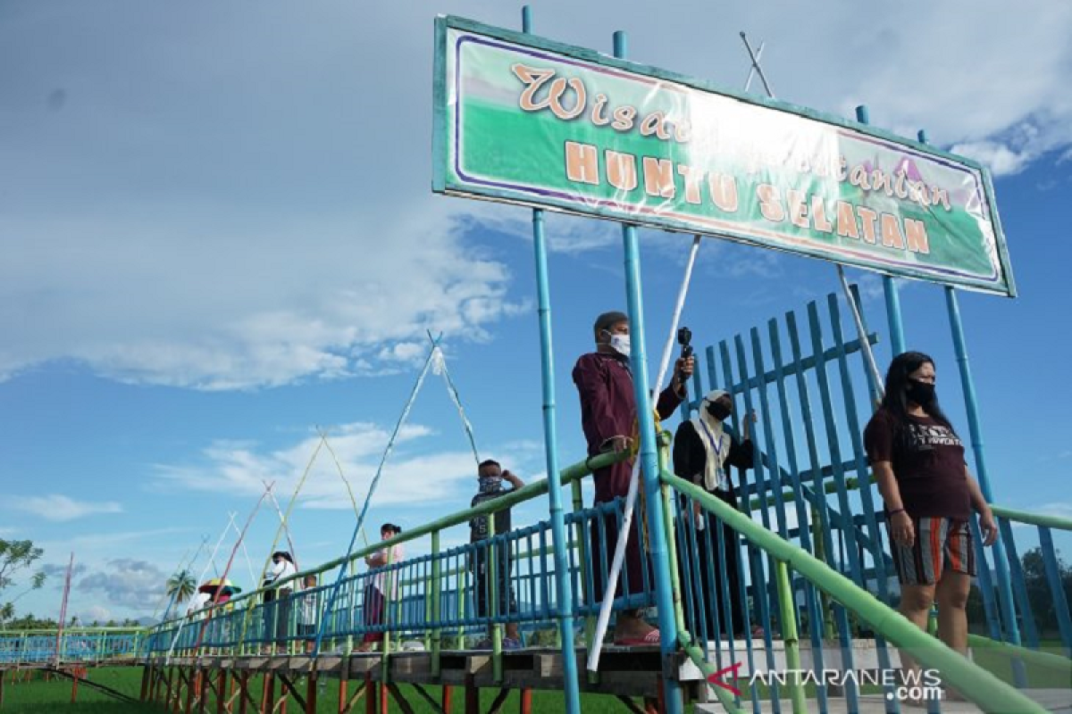 Persawahan Desa Huntu Selatan Gorontalo ramai dikunjungi wisatawan