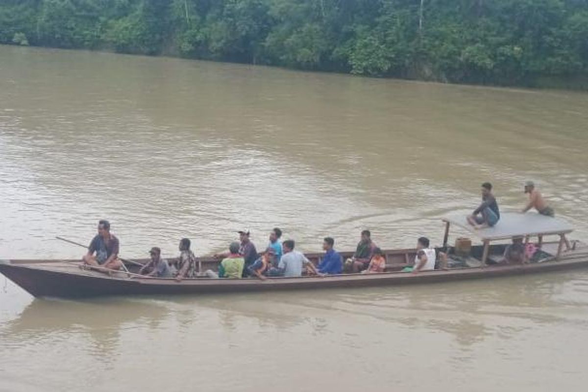 Pengembala kerbau hilang di Hutan Aceh Timur