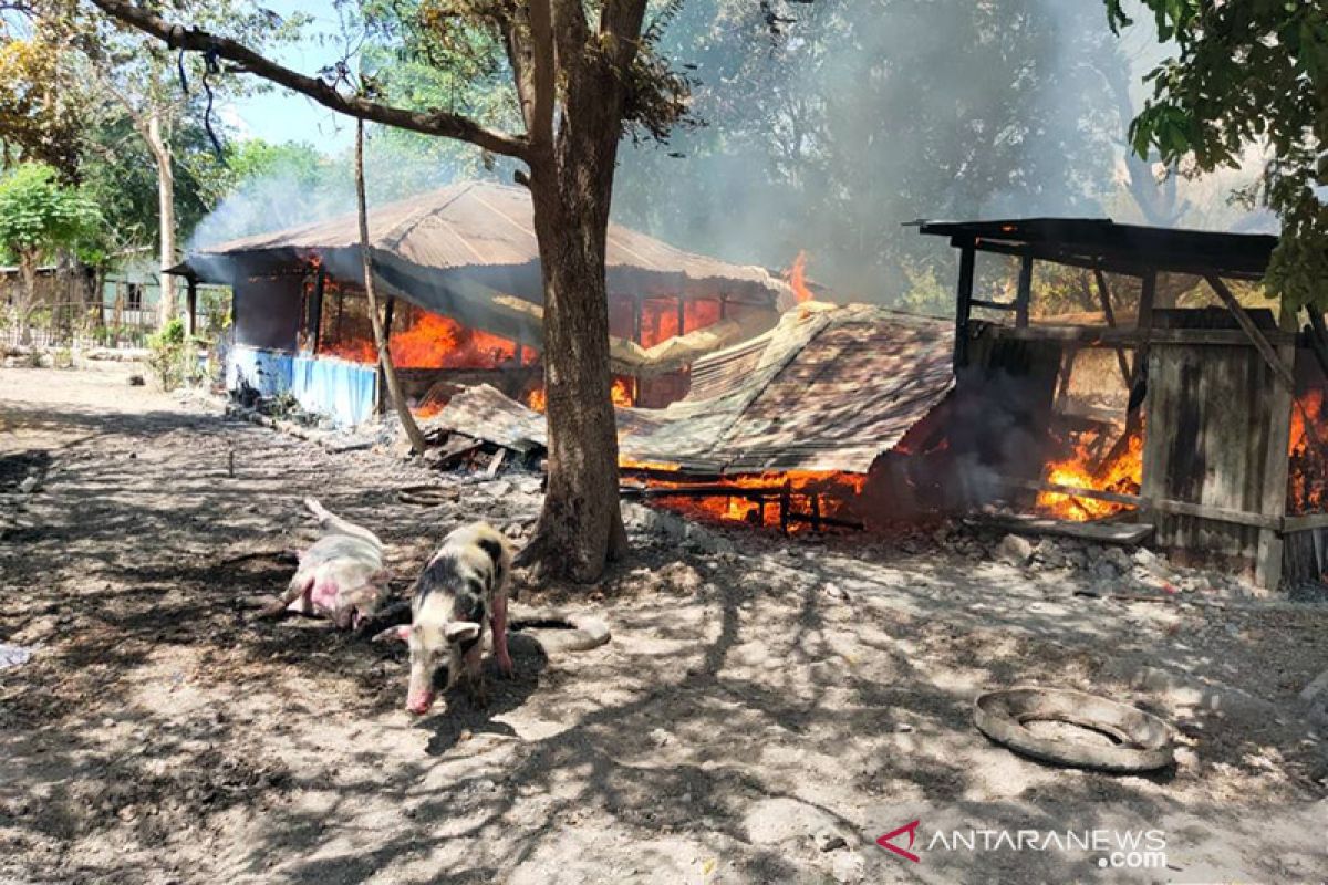 Satu meninggal dan tujuh rumah dibakar akibat bentrokan di Kupang