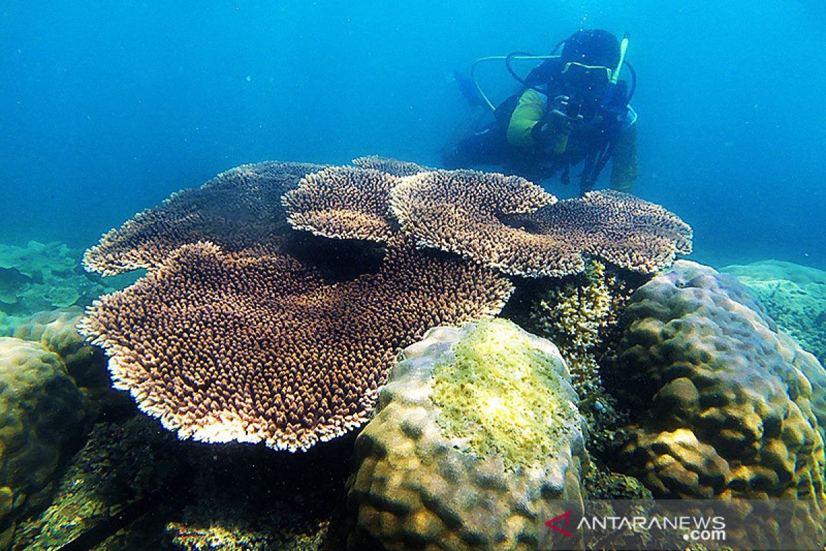 Kemenparekraf apresiasi pariwisata Belitung kembali menggeliat