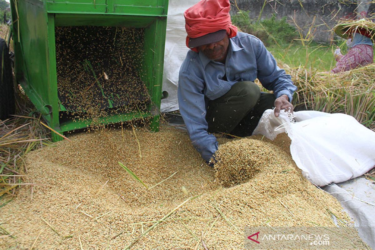 BPS sees rice production at 31.63 mln tons in 2020