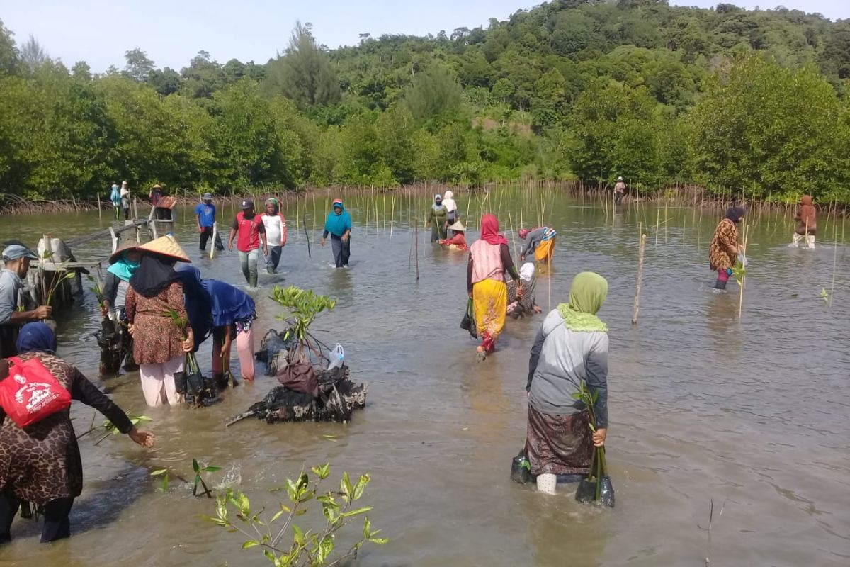 Kementerian Perikanan dan Kelautan RI bantu pengembangan Ekowisata manggrove Aceh Jaya