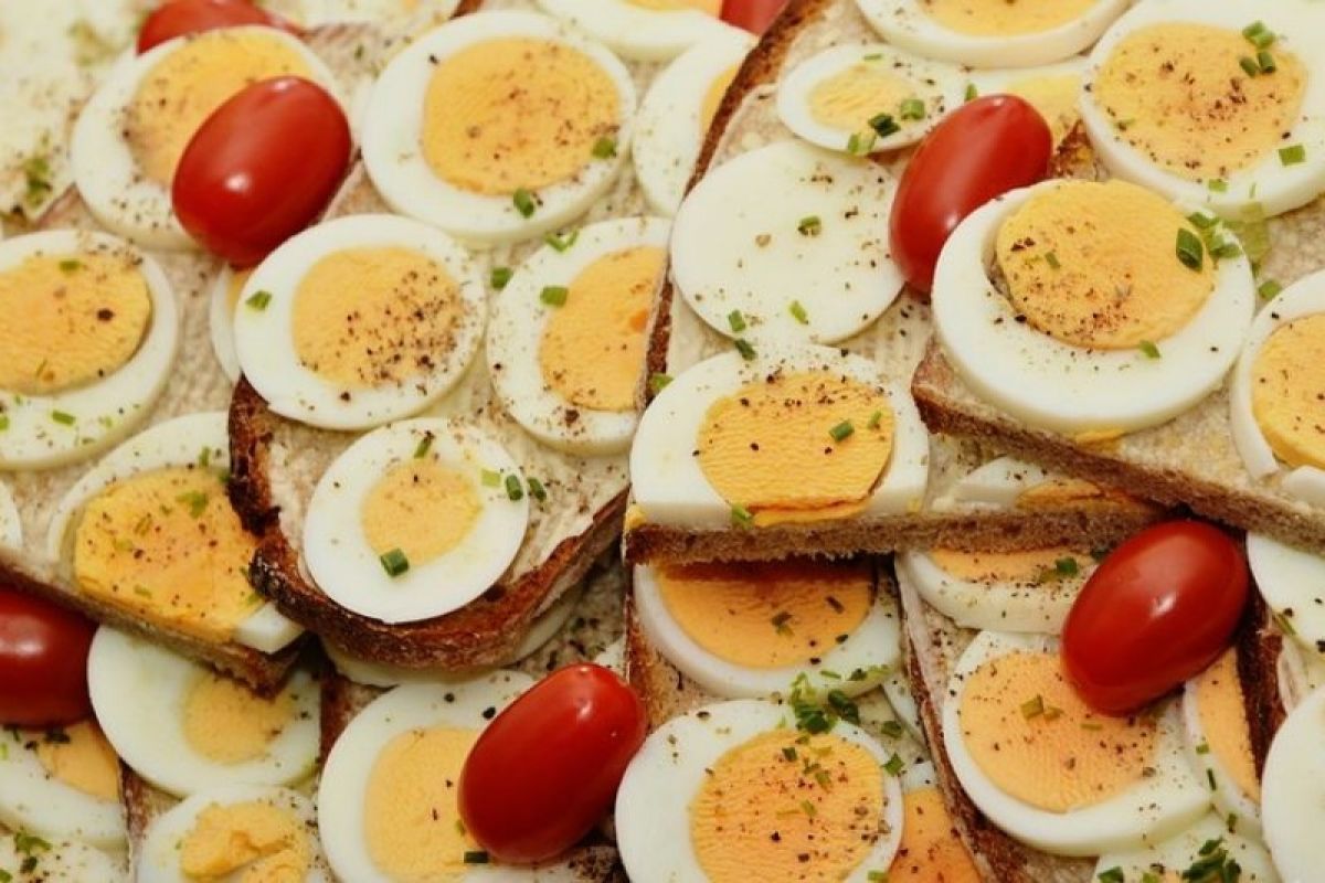 Manfaat telur rebus, kesehatan otak hingga turunkan berat badan