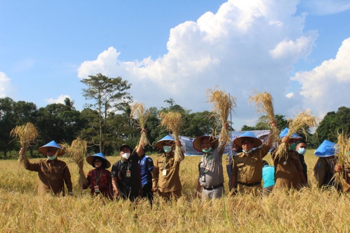 Pemkab OKI dorong petani lakukan dua  kali panen setahun