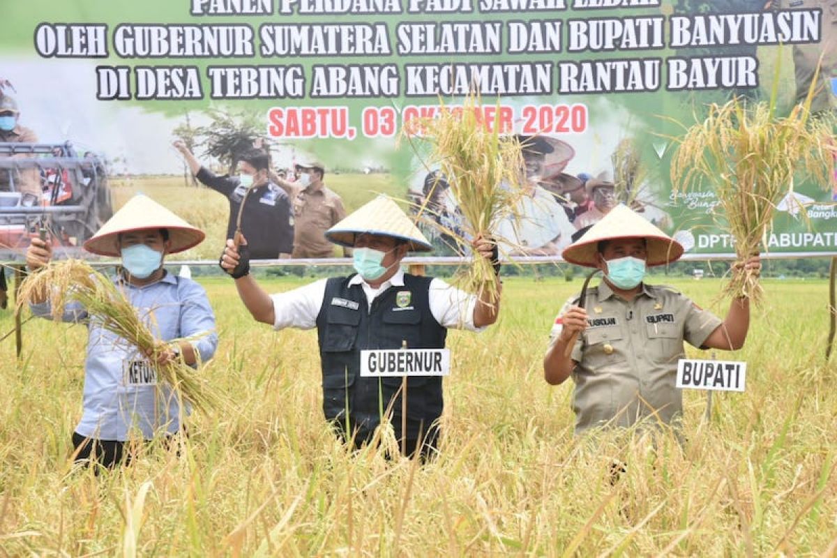 Pemprov Sumsel dorong peningkatan  produksi beras Kabupaten Banyuasin