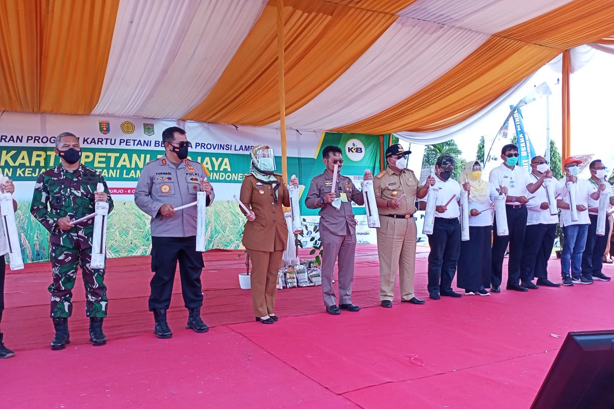 Mentan desak Pemprov Lampung fokus kembangkan pertanian