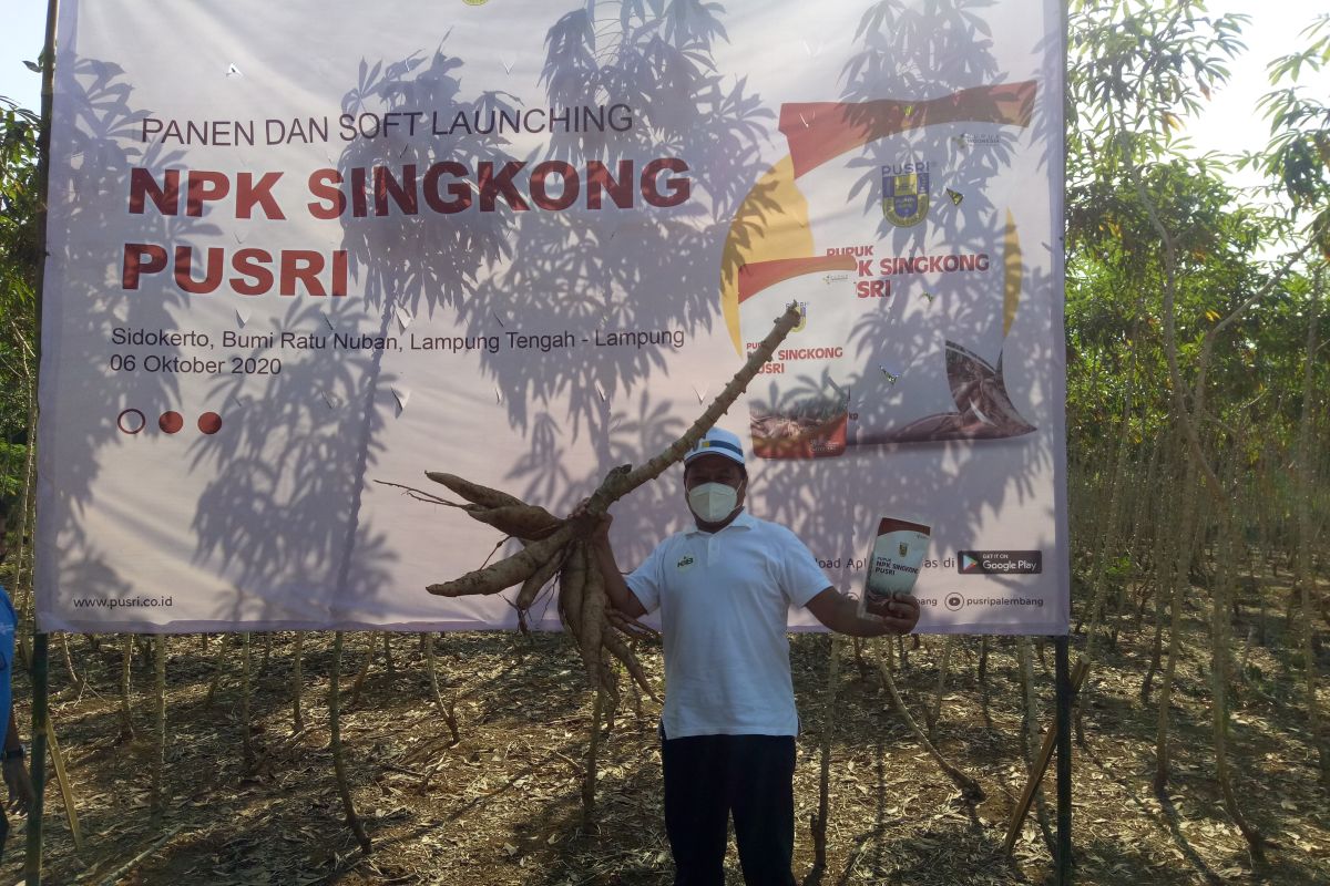 Pusri luncurkan NPK singkong guna tingkatkan produksi di atas 50 persen