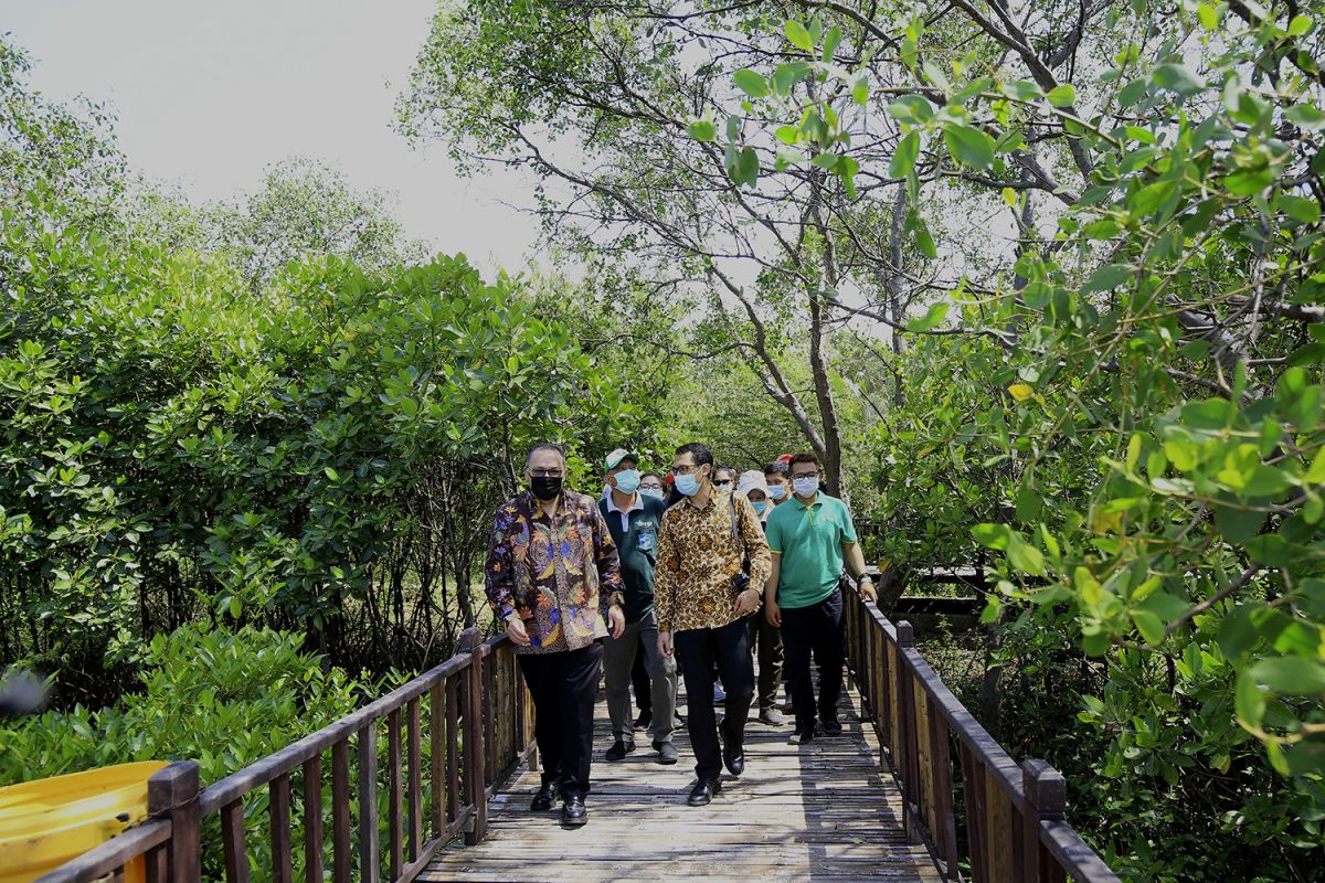 Pemenang Scroll of Honour Award 2020 kagumi keindahan mangrove Surabaya