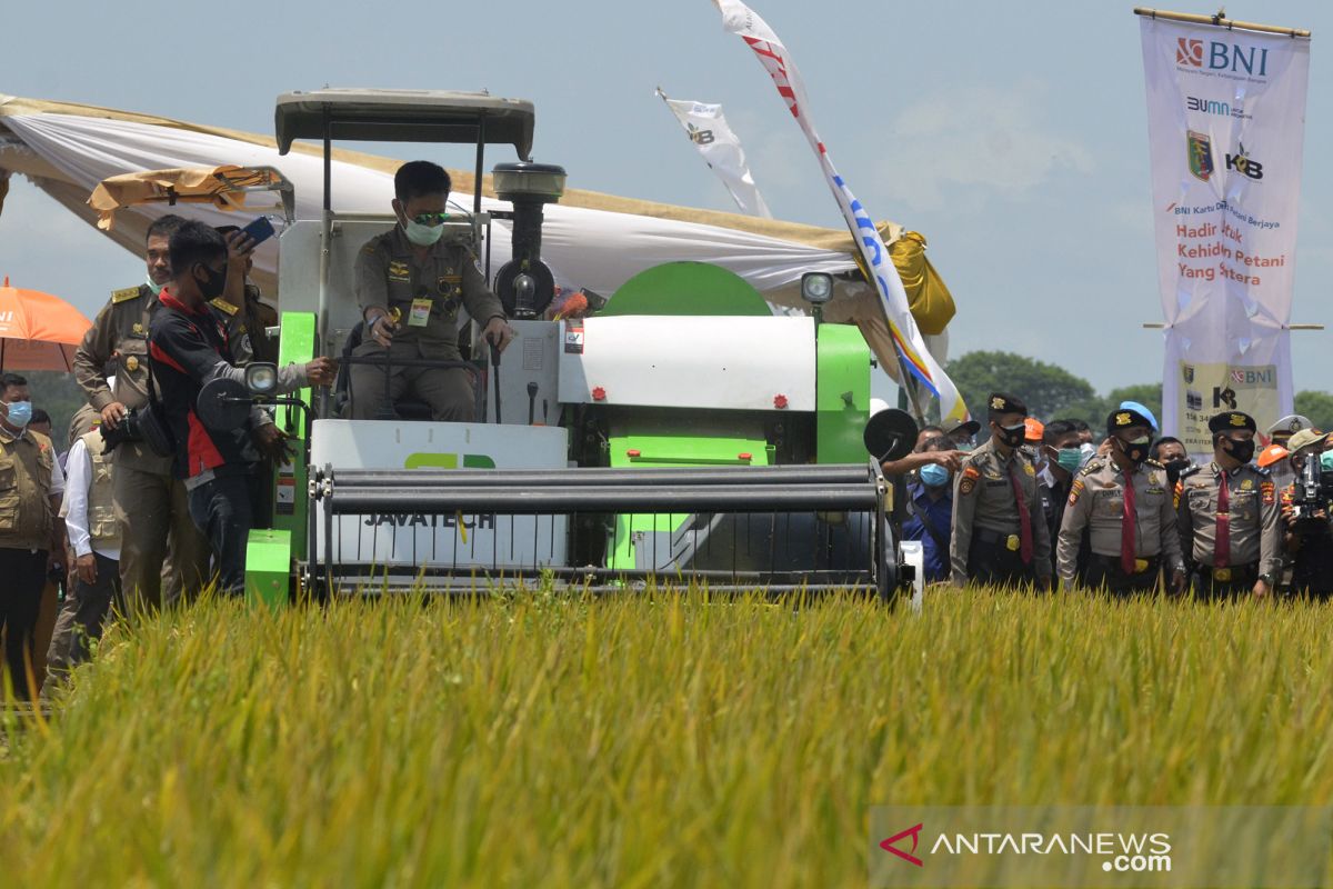 Mentan desak Pemprov Lampung fokus kembangkan pertanian
