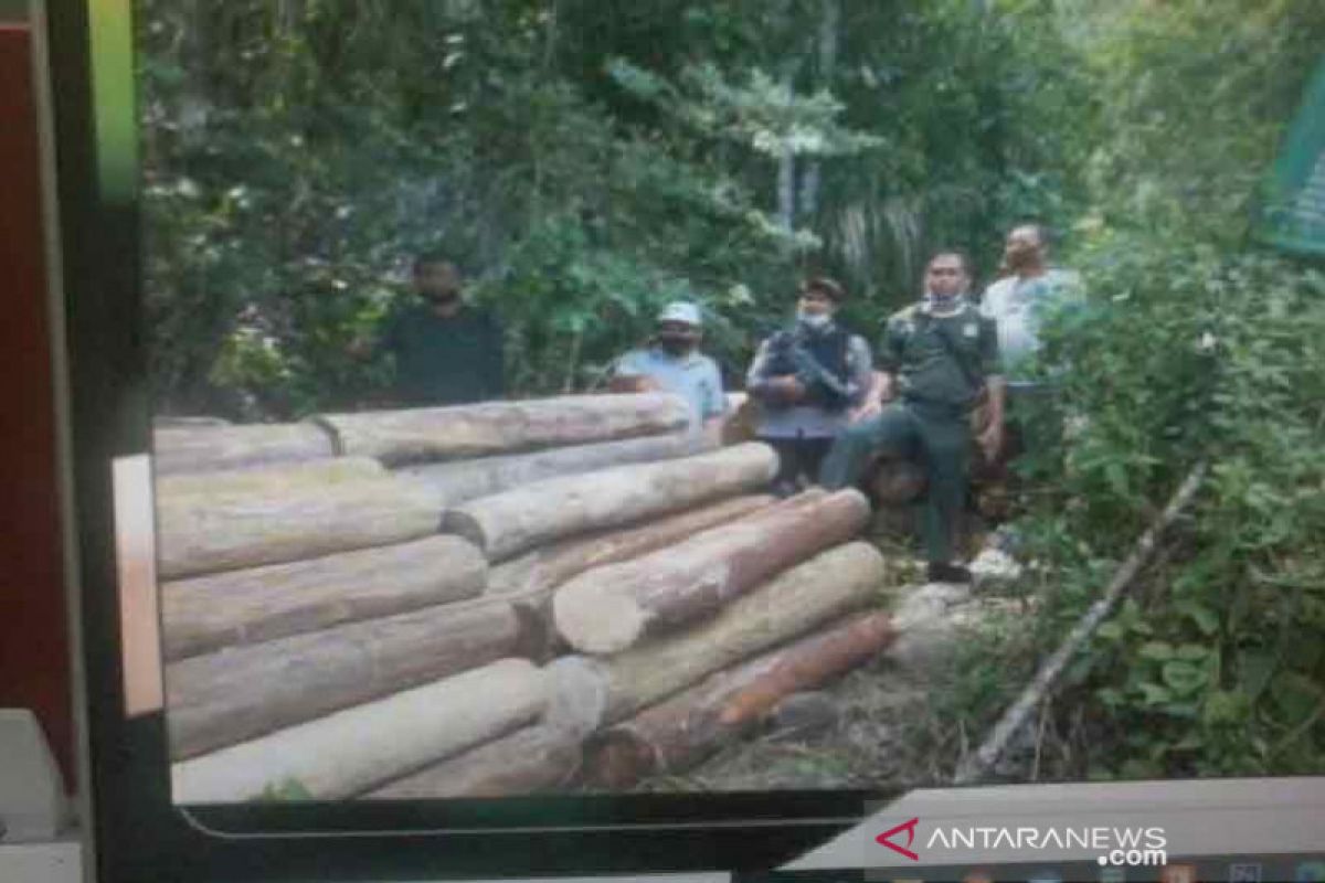 UPT KPH Sintuwu Maroso tetap gencar operasi pengamanan hutan