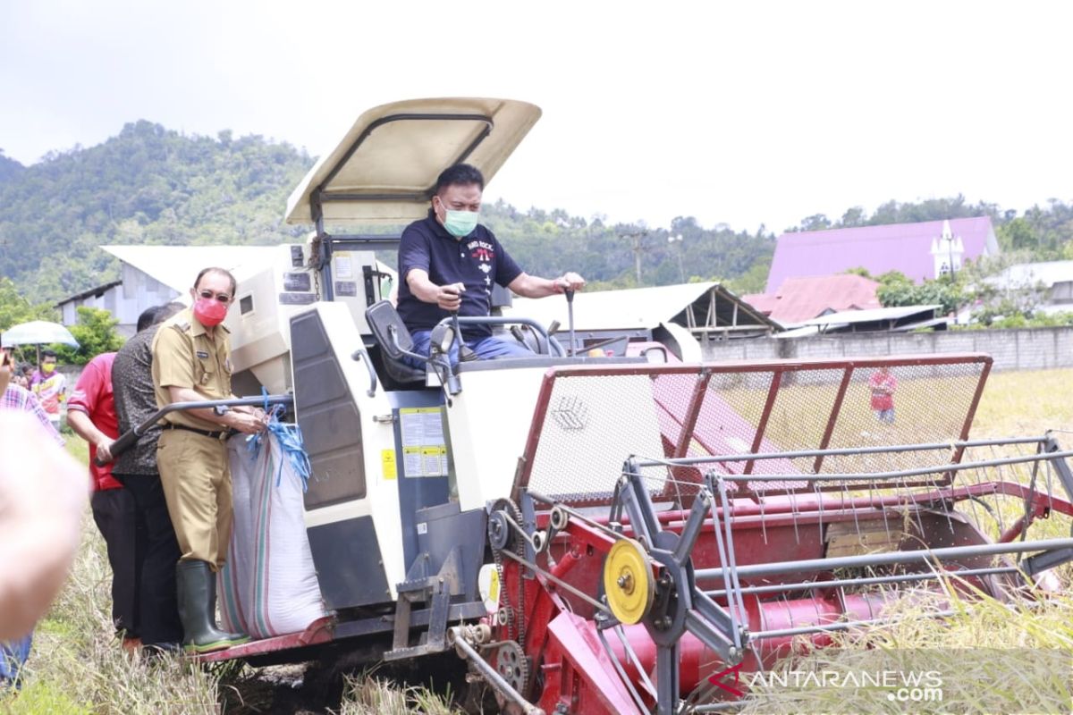 Pemkab Minahasa dorong peningkatan produksi padi petani