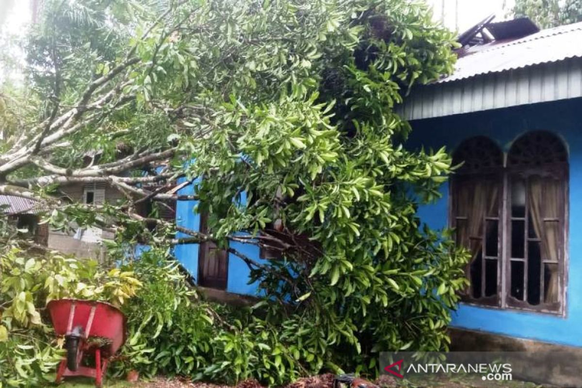 Rumah warga di Aceh Barat tertimpa pohon saat diterjang badai