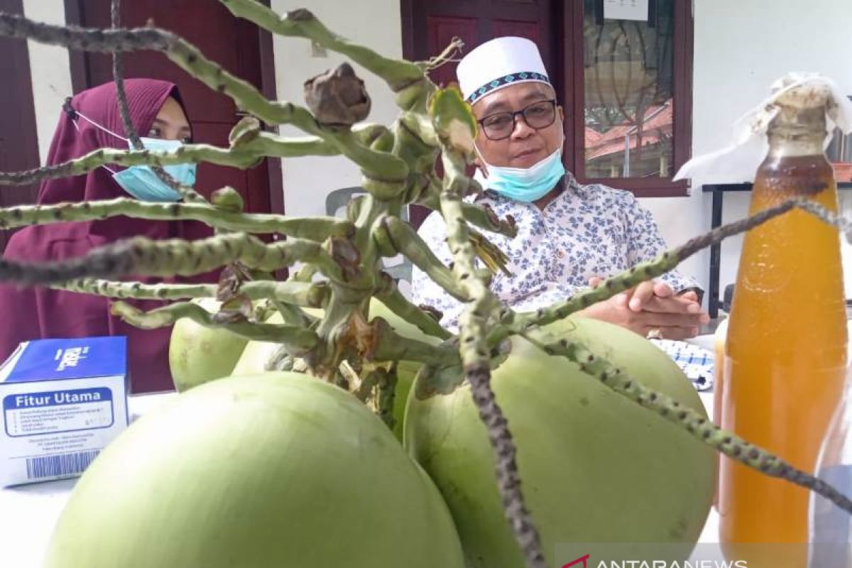 Bupati Aceh Barat bagikan tips sembuh dari COVID-19, rutin minum kelapa muda