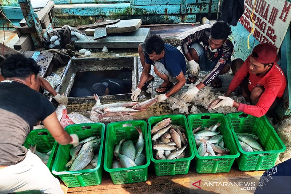 Usaha perikanan di Kepri terpukul akibat pandemi, harga ikan anjlok
