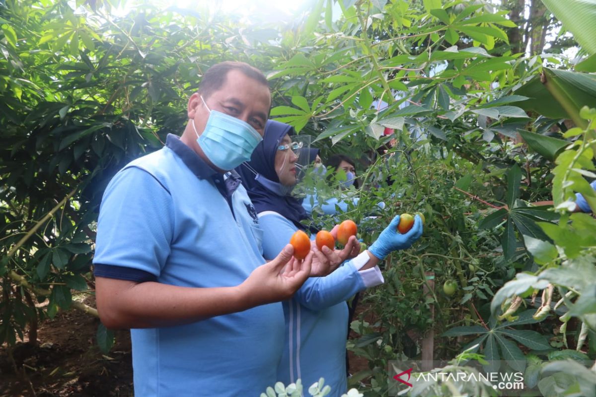 Lanud I Gusti Ngurah Rai dukung ketahanan pangan saat pandemi