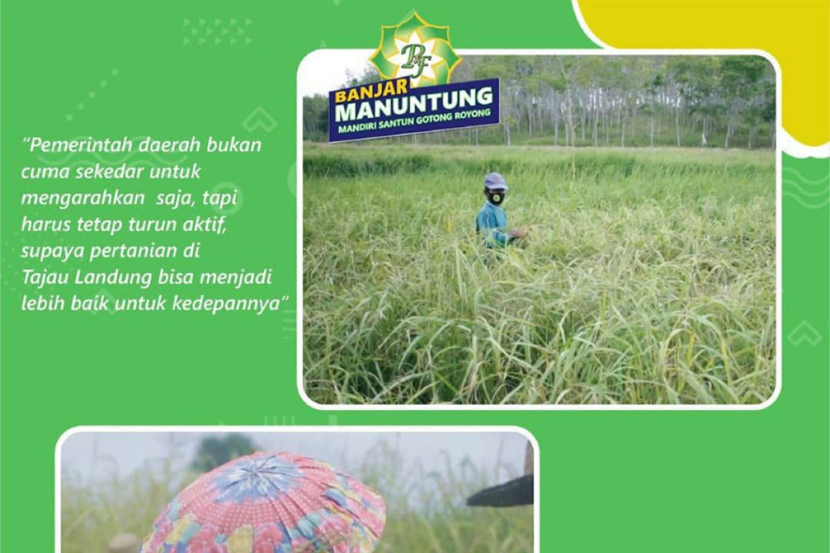 Cabup Banjar Rusli ingin pertahankan kabupatennya lumbung padi Kalsel