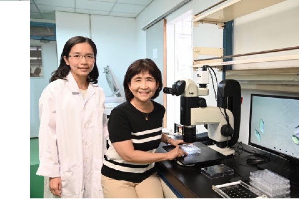 NTHU unveils ray of hope for improving dementia treatment