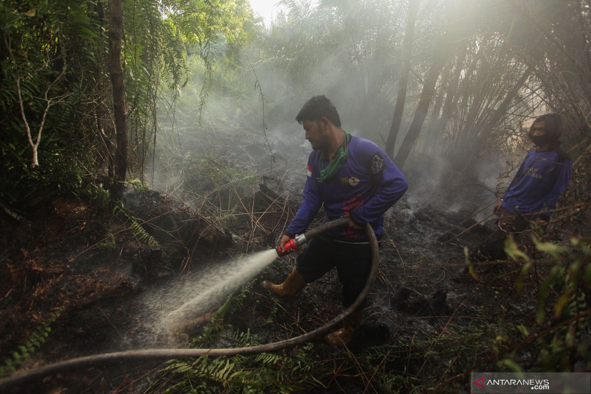 Kalimantan Tengah berupaya meminimalkan risiko kebakaran hutan-lahan