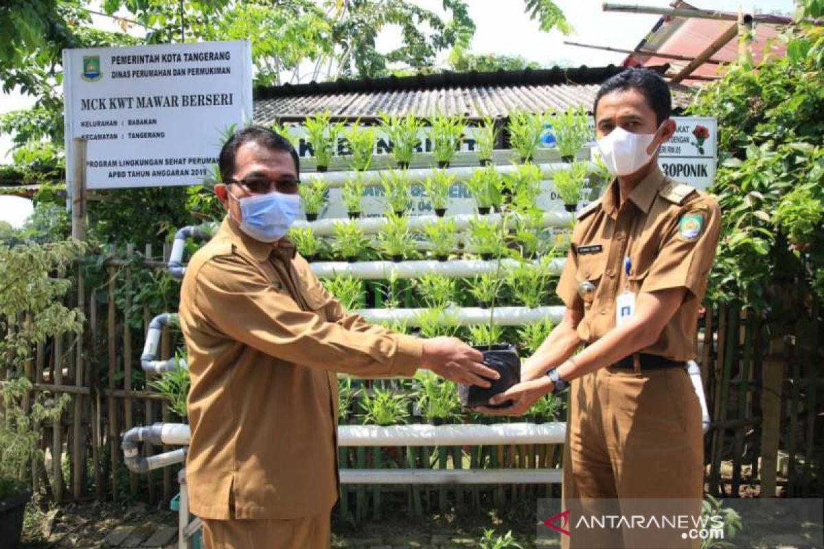 Pemkot Tangerang distribusi 1.000 batang pohon cabai ke warga di kecamatan