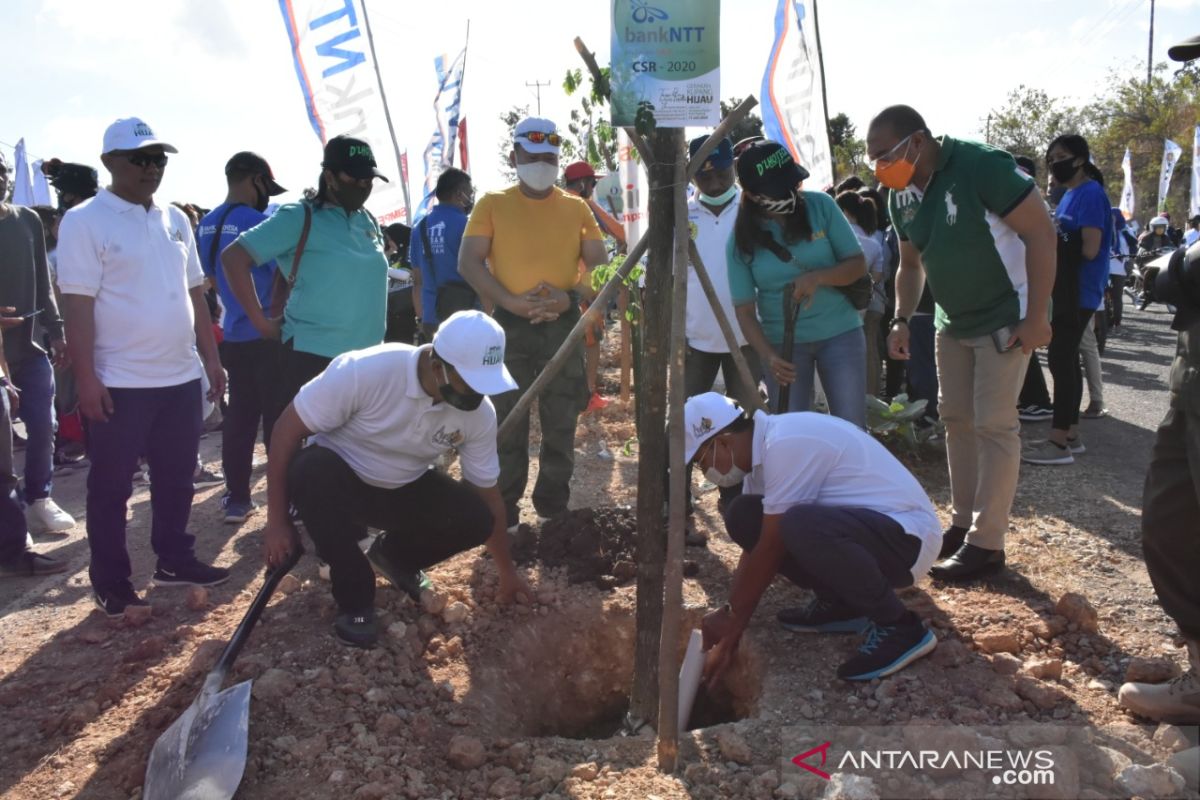 Pemkot Kupang diminta bangun hutan kota